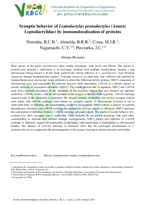 Synaptic behavior of Leptodactylus pentadactylus (Anura: Leptodactylidae) by immunolocalization of proteins