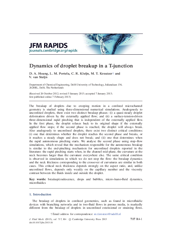 (PDF) Dynamics of droplet breakup in a T-junction