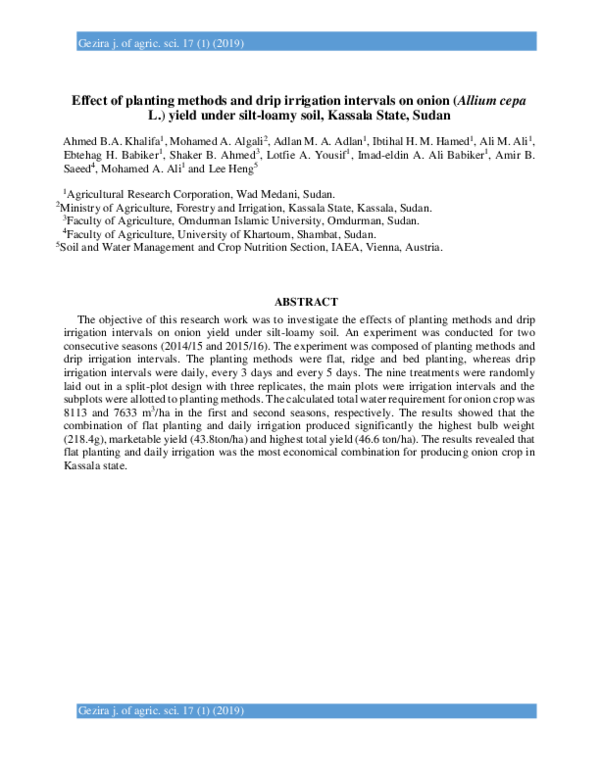 (PDF) Effect of planting methods and drip irrigation intervals on onion ...