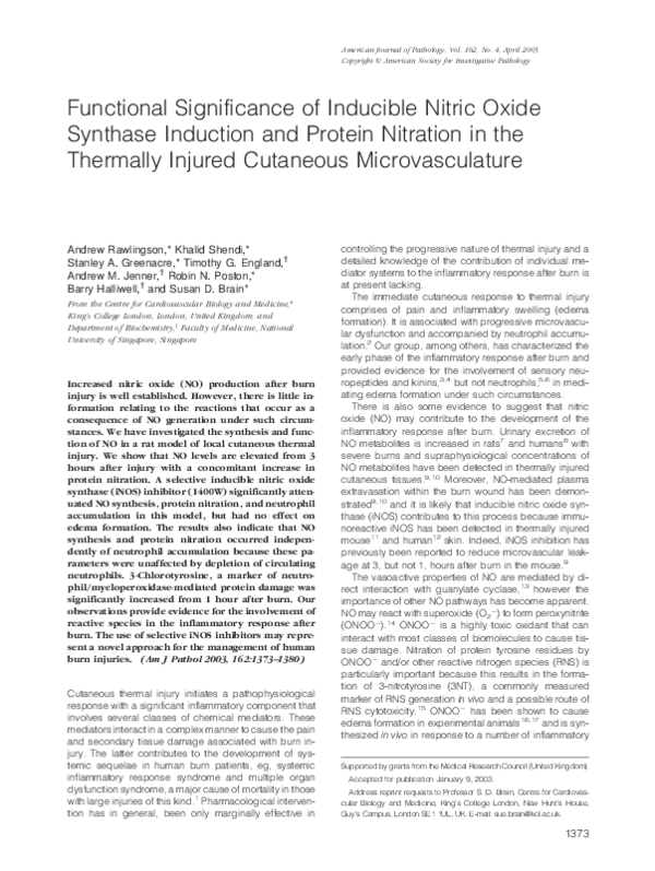 (PDF) Functional Significance of Inducible Nitric Oxide Synthase ...