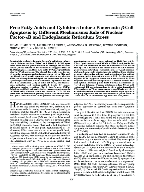 (PDF) Free Fatty Acids and Cytokines Induce Pancreatic β-Cell Apoptosis ...