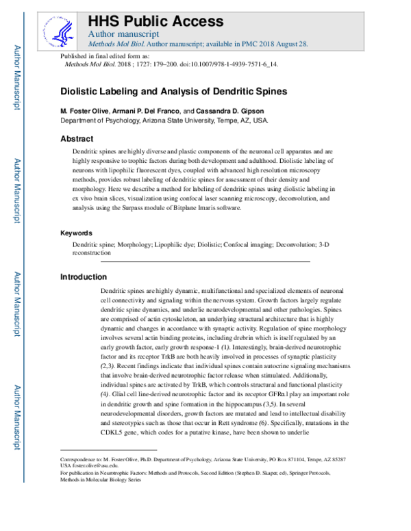 (PDF) Diolistic Labeling and Analysis of Dendritic Spines