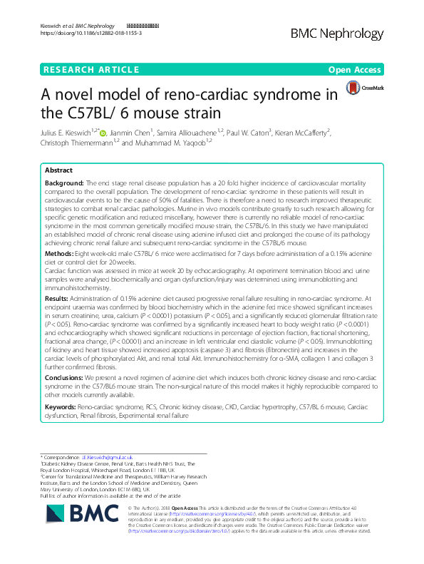 (PDF) A novel model of reno-cardiac syndrome in the C57BL/ 6 mouse strain