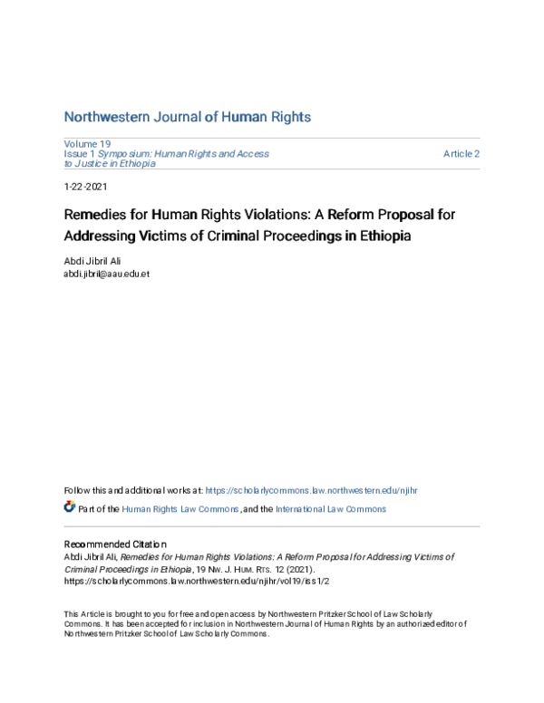 (PDF) Remedies for Human Rights Violations: A Reform Proposal for ...