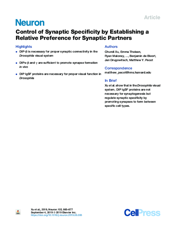 (PDF) Control of Synaptic Specificity by Establishing a Relative ...