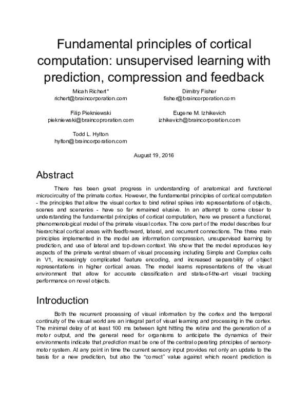 (PDF) Fundamental principles of cortical computation: unsupervised ...