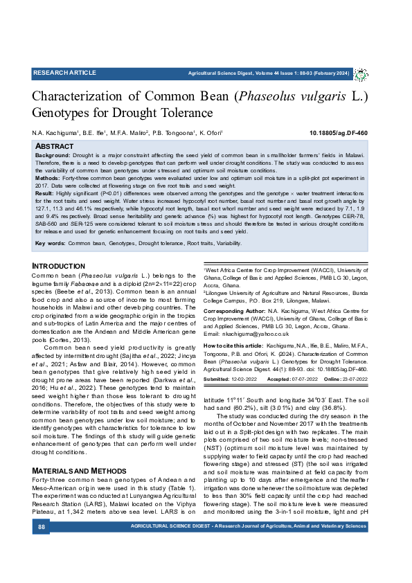 (PDF) Characterization of Common Bean (Phaseolus vulgaris L.) Genotypes ...