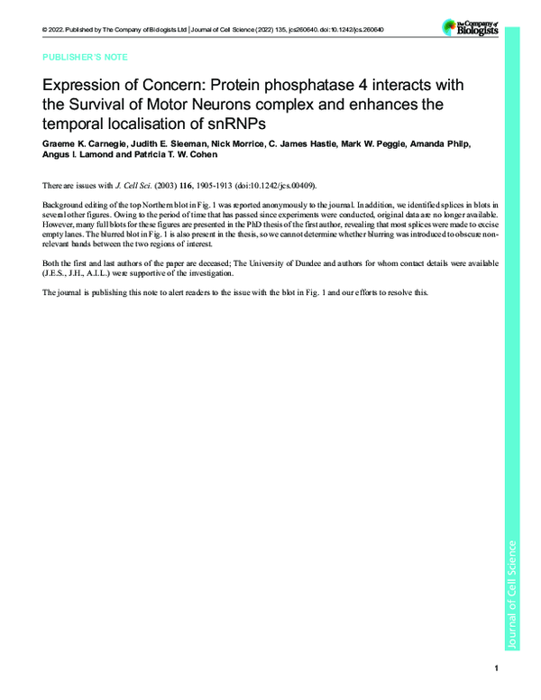 (PDF) Protein phosphatase 4 interacts with the Survival of Motor ...