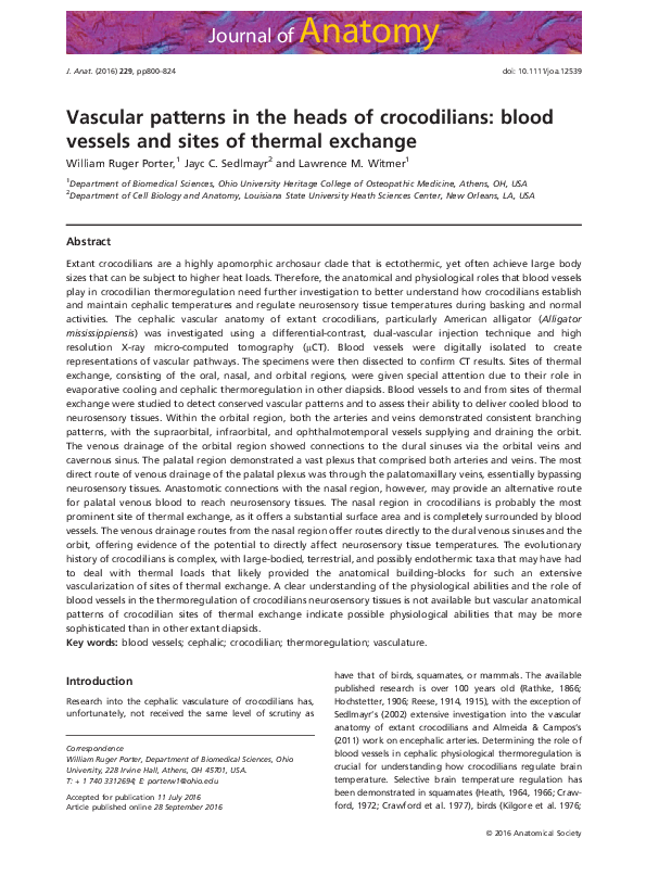 (PDF) Vascular patterns in the heads of crocodilians: blood vessels and ...