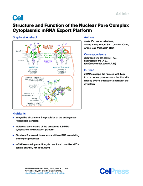 (PDF) Structure and Function of the Nuclear Pore Complex