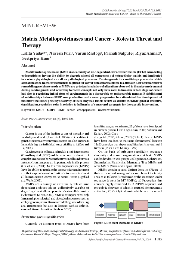 (PDF) Matrix Metalloproteinases and Cancer - Roles in Threat and Therapy