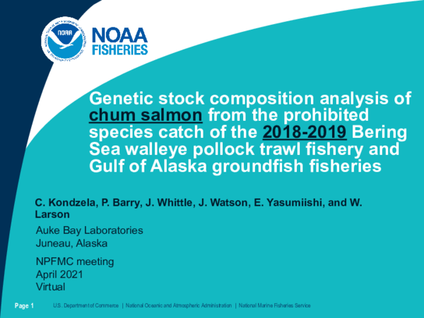 (PDF) Genetic stock composition analysis of chum salmon from the ...