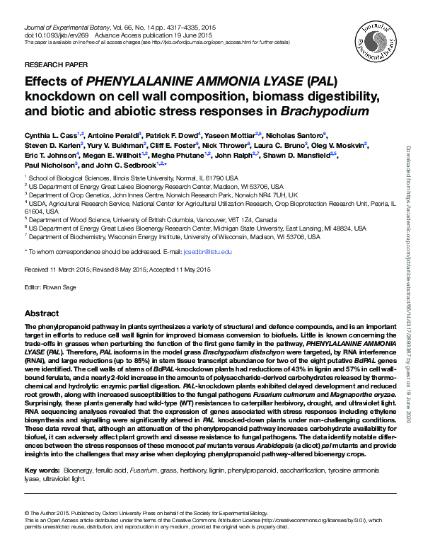 (PDF) Effects of PHENYLALANINE AMMONIA LYASE ( PAL ) knockdown on cell ...