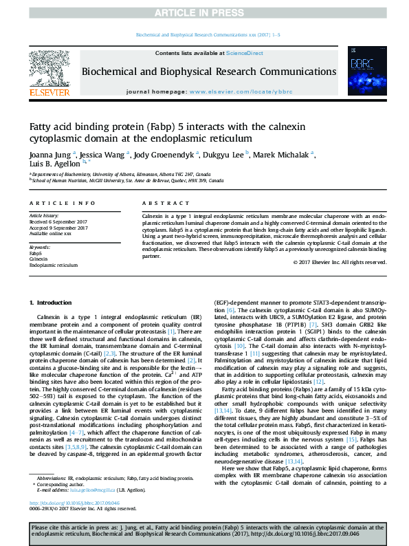 (PDF) Fatty acid binding protein (Fabp) 5 interacts with the calnexin ...
