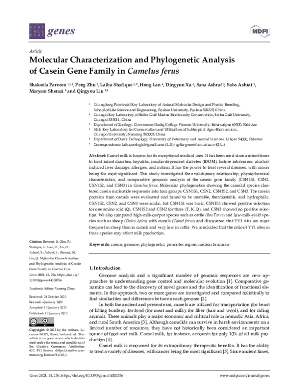 (PDF) Molecular Characterization and Phylogenetic Analysis of Casein ...