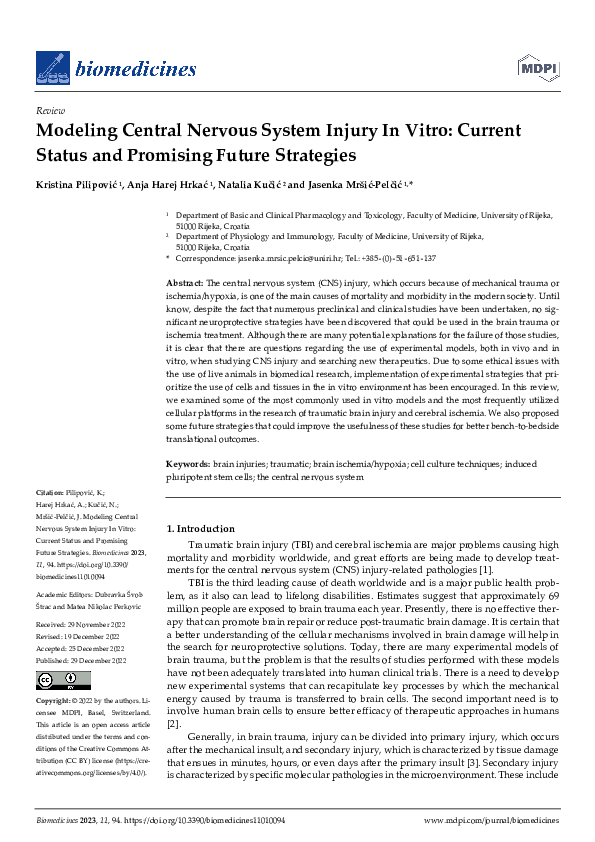 (PDF) Modeling Central Nervous System Injury In Vitro: Current Status ...