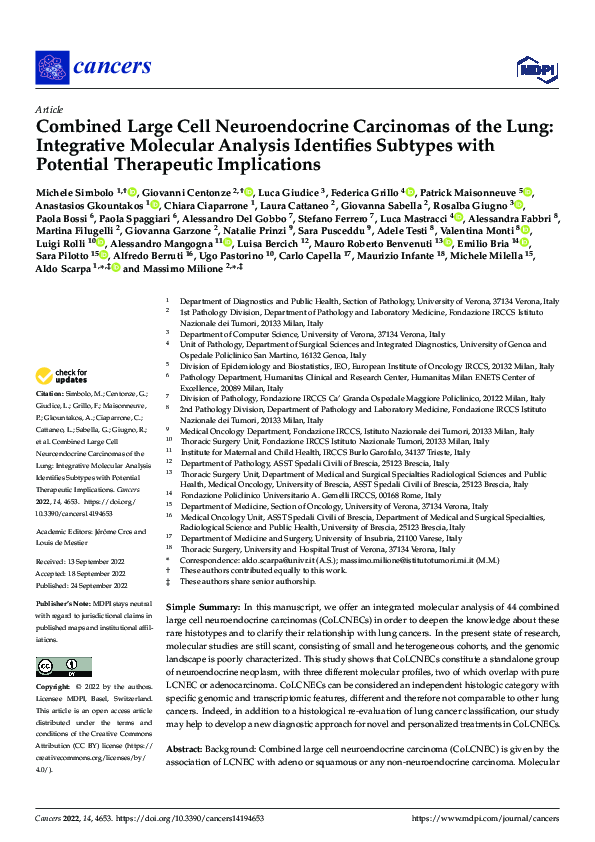 (PDF) Combined Large Cell Neuroendocrine Carcinomas of the Lung ...