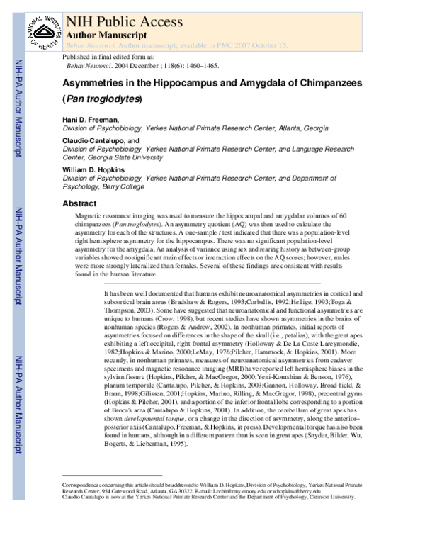 (PDF) Asymmetries in the Hippocampus and Amygdala of Chimpanzees (Pan ...
