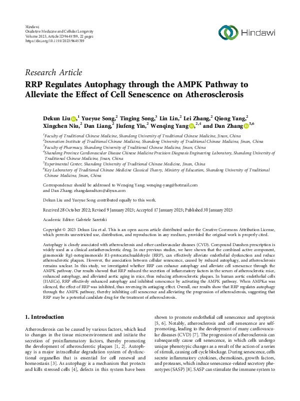 (PDF) RRP Regulates Autophagy through the AMPK Pathway to Alleviate the ...