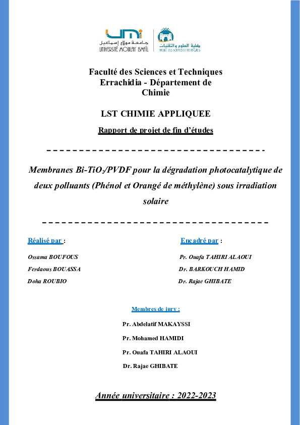 (DOC) Rapport final