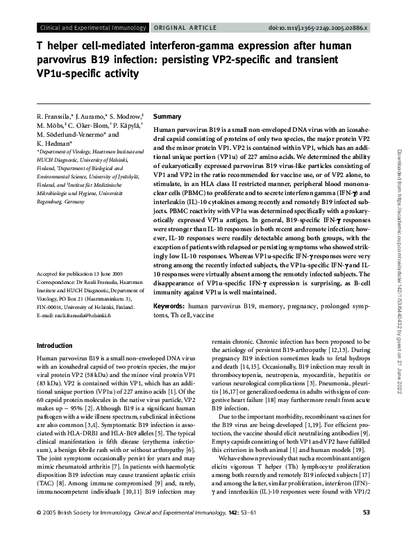 T helper cell-mediated interferon-gamma expression after human parvovirus B19 infection: persisting VP2-specific and transient VP1u-specific activity