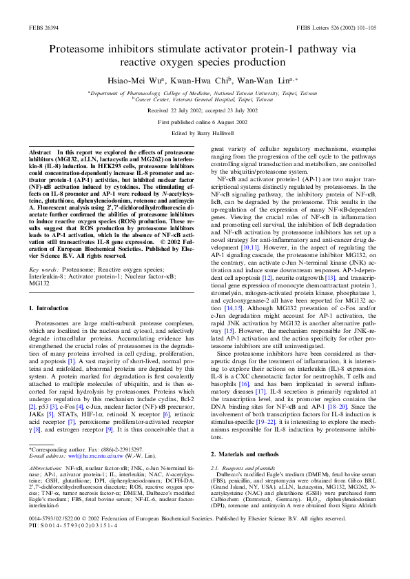(PDF) Proteasome inhibitors stimulate activator protein-1 pathway via ...