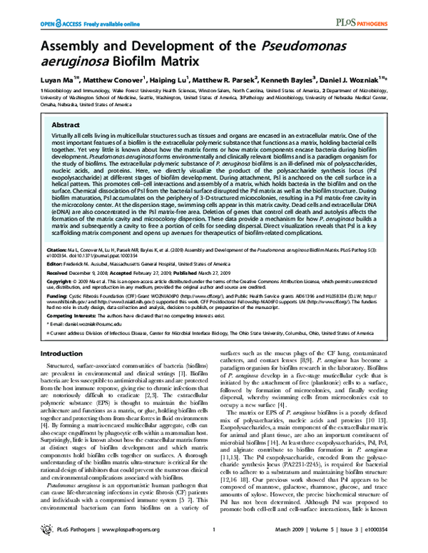 (PDF) Assembly and Development of the Pseudomonas aeruginosa Biofilm Matrix