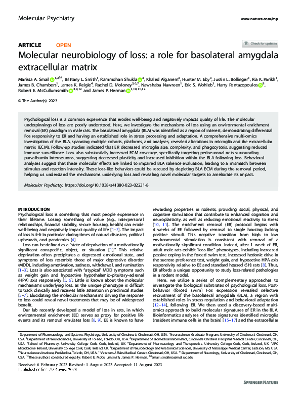 (PDF) Molecular neurobiology of loss: a role for basolateral amygdala ...