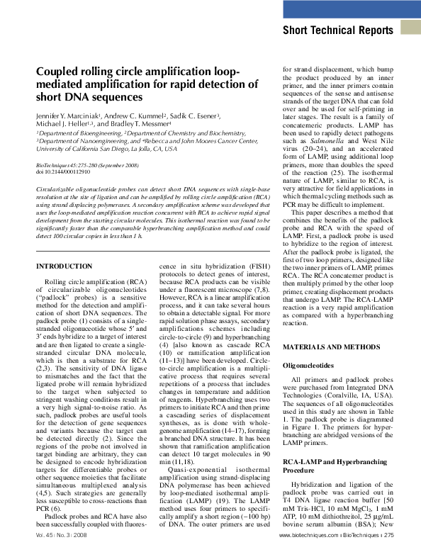 (PDF) Coupled rolling circle amplification loop-mediated amplification ...