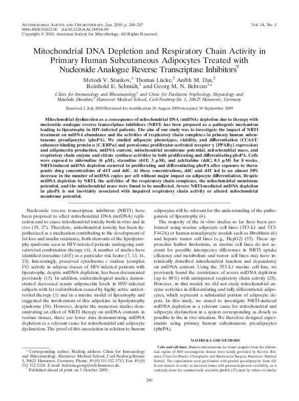 (PDF) Mitochondrial DNA Depletion and Respiratory Chain Activity in ...