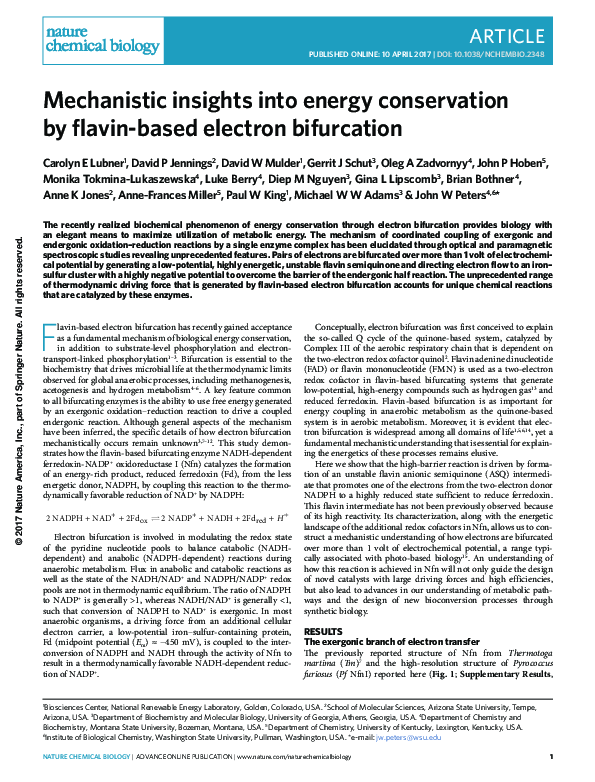 (PDF) Mechanistic insights into energy conservation by flavin-based ...