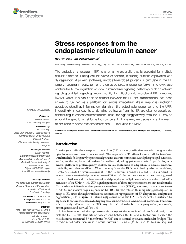 (PDF) Stress responses from the endoplasmic reticulum in cancer