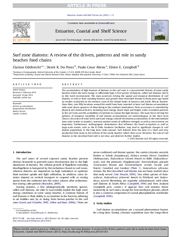 (PDF) Surf zone diatoms: A review of the drivers, patterns and role in ...