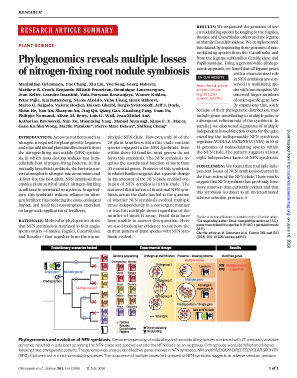 (PDF) Phylogenomics reveals multiple losses of nitrogen-fixing root ...