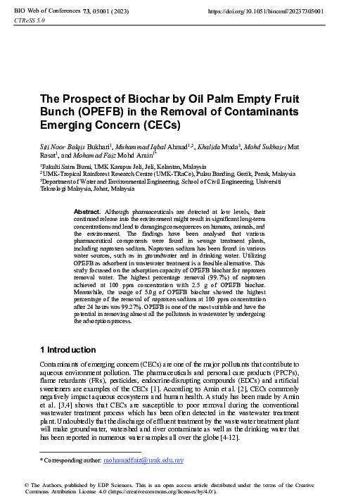 (PDF) The Prospect of Biochar by Oil Palm Empty Fruit Bunch (OPEFB) in ...