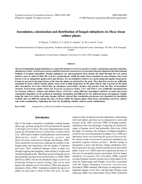 (PDF) Inoculation, colonization and distribution of fungal endophytes ...