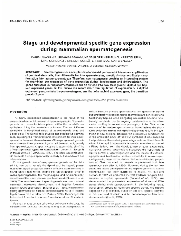 (PDF) Stage and developmental specific gene expression during mammalian ...