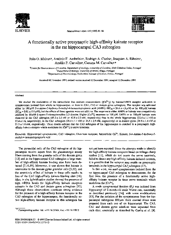 (PDF) A functionally active presynaptic high-affinity kainate receptor ...