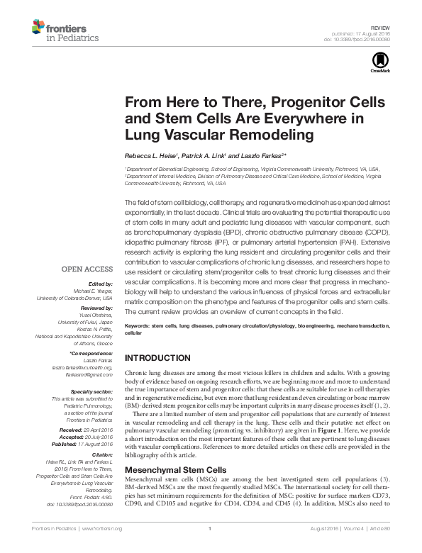 (PDF) From Here to There, Progenitor Cells and Stem Cells Are ...