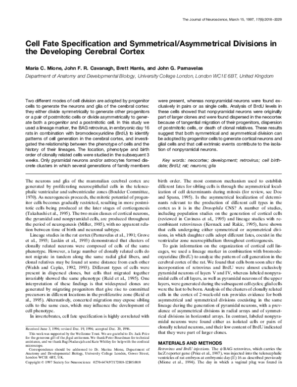 (PDF) Cell Fate Specification and Symmetrical/Asymmetrical Divisions in ...