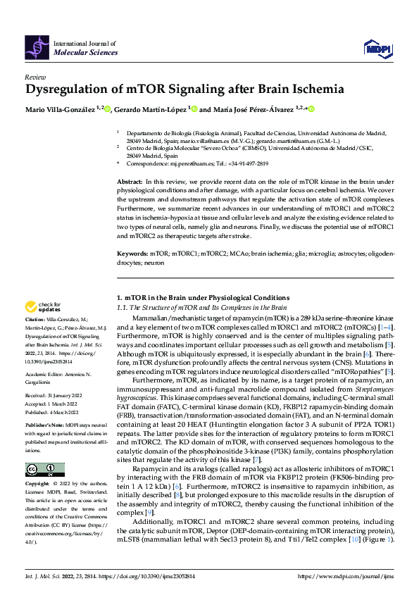 (PDF) Dysregulation of mTOR Signaling after Brain Ischemia