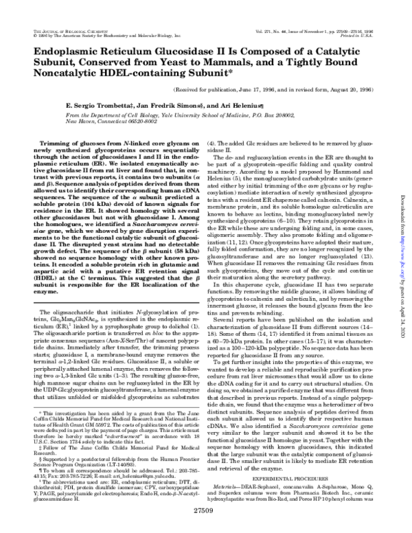(PDF) Endoplasmic Reticulum Glucosidase II Is Composed of a Catalytic ...