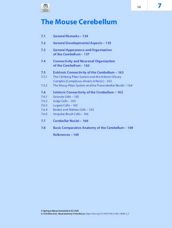 (PDF) The Mouse Cerebellum