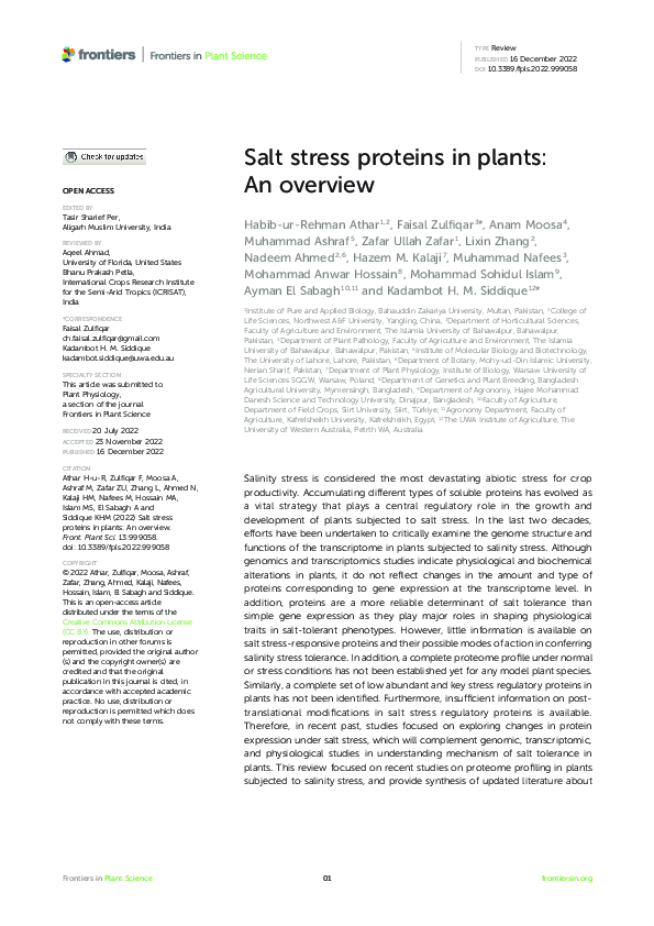 (PDF) Salt stress proteins in plants: An overview