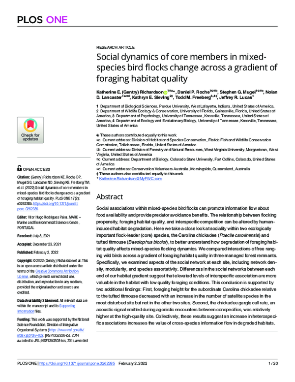 (PDF) Social dynamics of core members in mixed-species bird flocks ...
