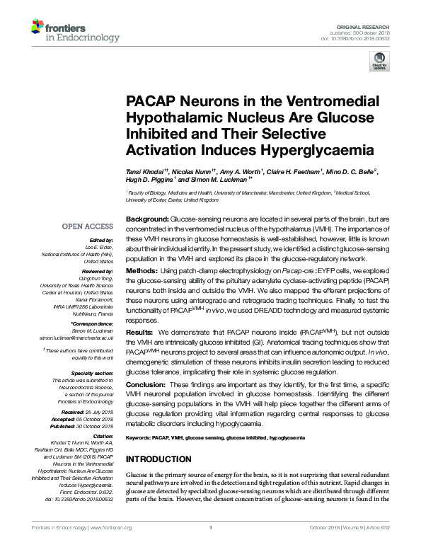 (PDF) PACAP Neurons in the Ventromedial Hypothalamic Nucleus Are ...