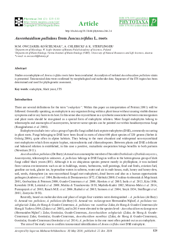 (PDF) Aureobasidium pullulans from Juncus trifidus L. roots