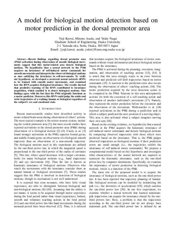 (PDF) A model for biological motion detection based on motor prediction ...