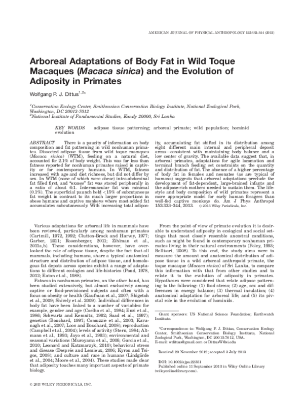 (PDF) Arboreal adaptations of body fat in wild toque macaques ( Macaca ...