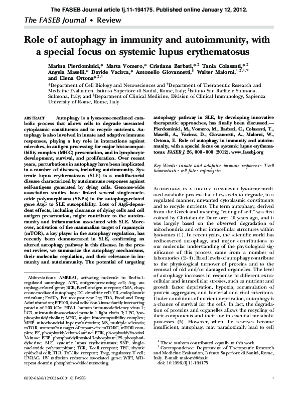 (PDF) Role of autophagy in immunity and autoimmunity, with a special ...